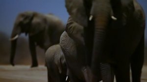 Земля ночью в цвете / сезон 2 / 1 из 6 / 2021, документальный, сериал