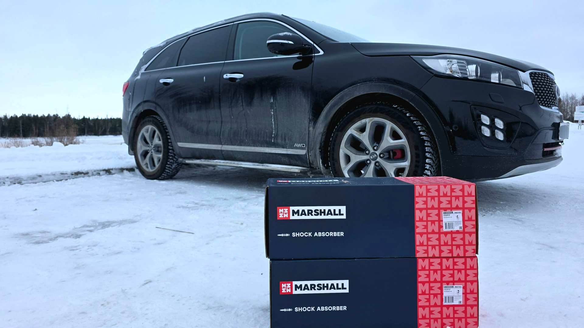 Передние стойки амортизаторов #MARSHALL