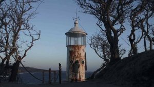 В Сочи начался кинофестиваль "Победили вместе"