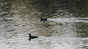 09=11=2025  ник  ТЭЦ   (33)