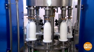 Пейте, дети, молоко! А какое? Доброе утро. Фрагмент выпуска от 10.11.2025