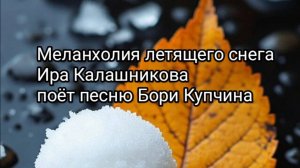 Летящий снег ~ Ирина Калашникова