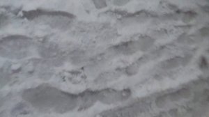 Утро! Снег валит.