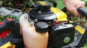 Не моя, Вася