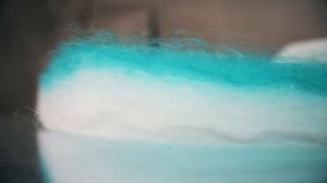 Kamera_okrasochnaya_Talwind_DSB_2M_s_suhimi_filtra