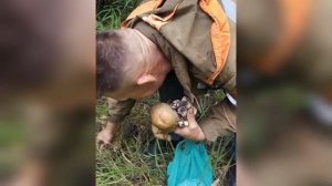 За грибами)