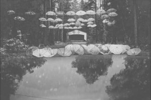 Фотобэкстейдж осени 2025 года.