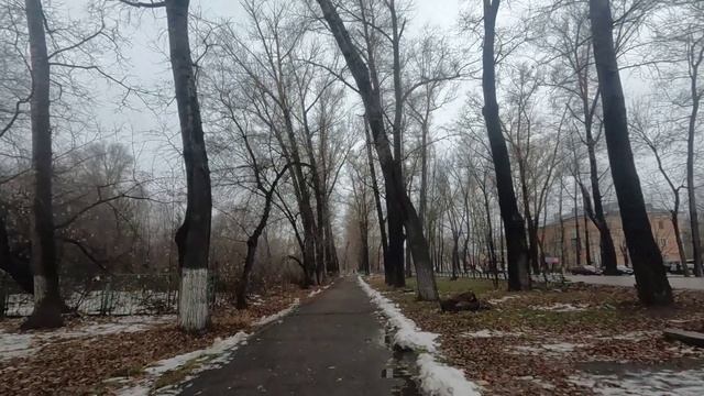 Рубцовск. По ул. Комсомольской до площади Ленина.😊