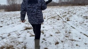 Охота на зайца. Чуть не провел.