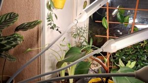 Размышления перед сном