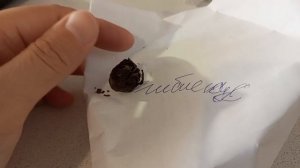 СЕМЕНА природы, ОБЗОР, буду сеять! 10.11.25