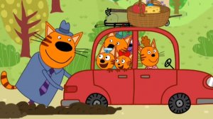 ТРИ КОТА. ТРИ КОТА НА ПИКНИКЕ.