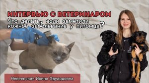 Кожные заболевания у питомцев | что должен знать каждый владелец