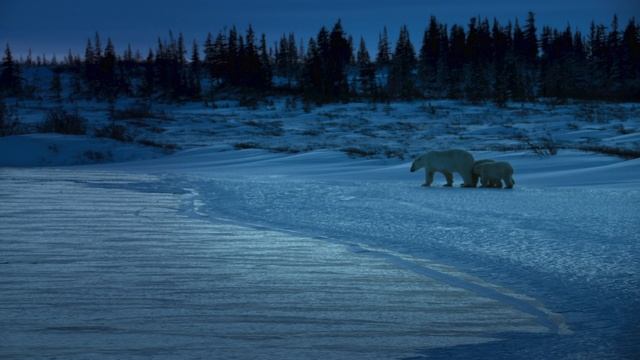 Земля ночью в цвете / сезон 2 / 6 из 6 / 2021, документальный, сериал