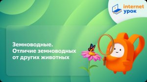 Окружающий мир 1 класс. Земноводные. Отличие земноводных от других животных