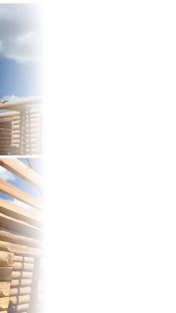 Артель плотников Дикий угол РФ  - рубим дома из толстого бревна