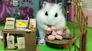 Хэллоуин для ХОМЯЧКОВ/ Выбраться из странного дома/ ВИКИ ЛАКИ/ Новинка