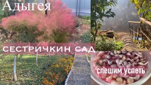 Жизнь в Адыгее/ В Гиагинской у сестренки/ Чудесный сад/ Ловим моменты/ Чеснок посажен/
