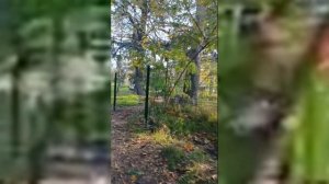 По периметру природной территории "Ушакова балка" начали устанавливать забор