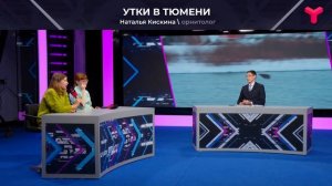 Почему утки не улетают из Тюмени?