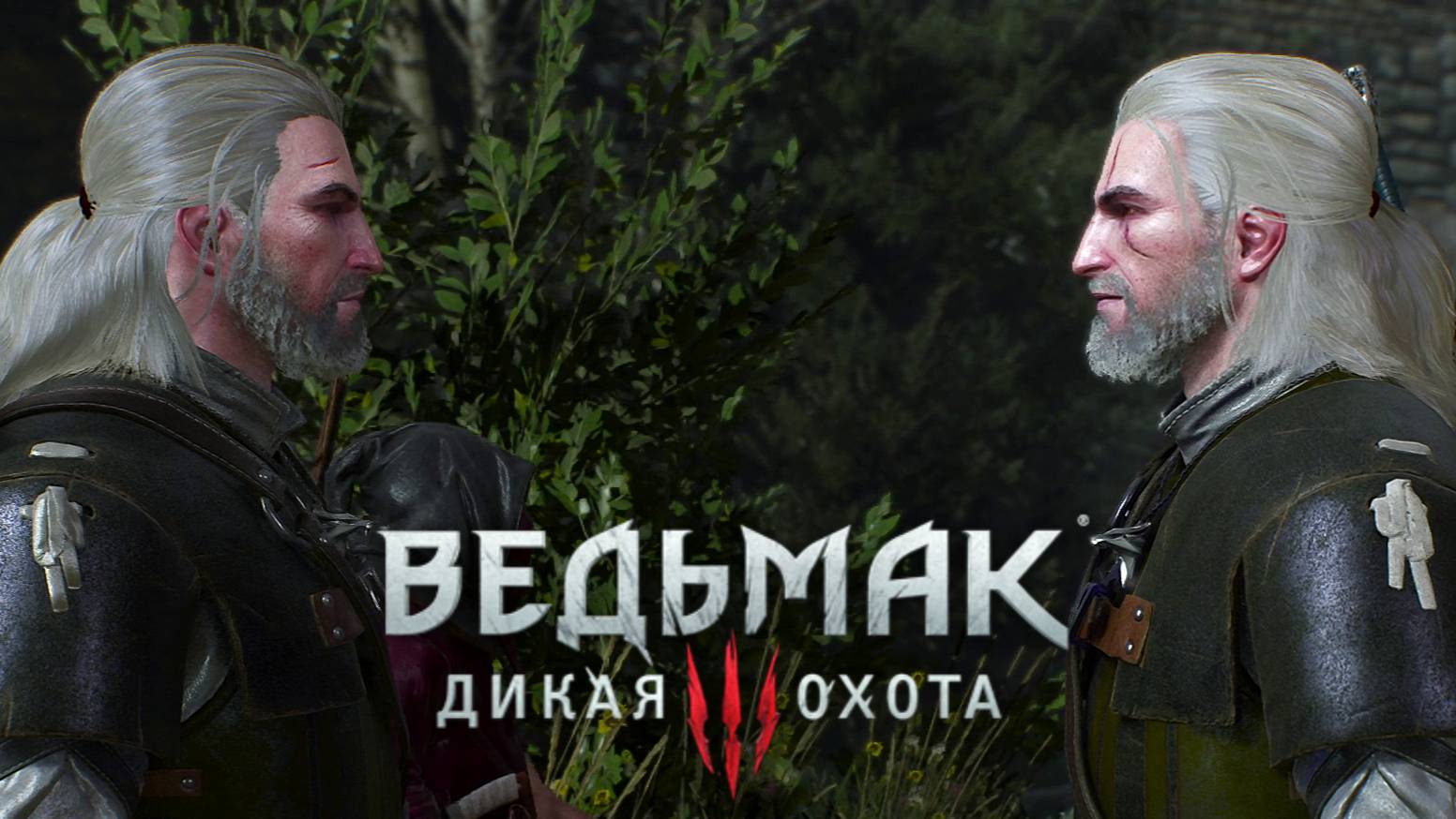 Неуловимый вор и другие контракты:)►Ведьмак 3 #32