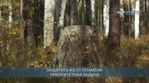 Более 600 километров минерализованных полос обустроят в лесах Иркутской области в 2026 году