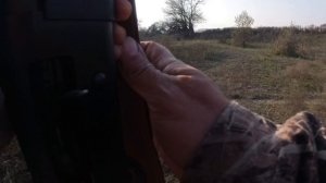 Осеняя охота на полевую дичь