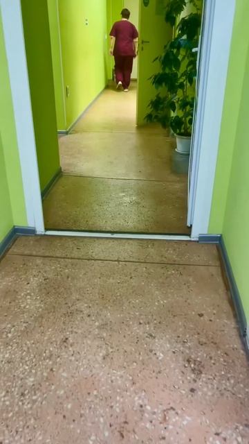 Первая прививка котёнку