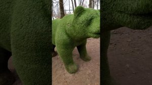 Калуга. Памятник Ивану 3. Парк культуры и отдыха.