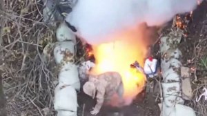 🔴Выселение хряков из норы🙂🔴