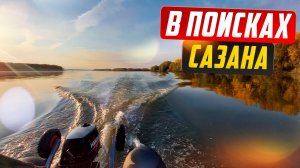 В поисках САЗАНА / Захватывающая рыбалка на реке Обь