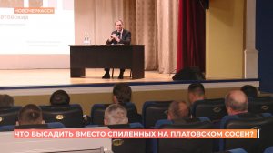 Что высадить вместо вырубленных в Новочеркасске сосен, решат онлайн-голосованием