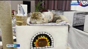 Вести-Томск, выпуск от 10.11.2025 11:30