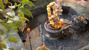 Онлайн Церемония YagyaLive