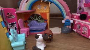 Прятки с маленькими питомцами.