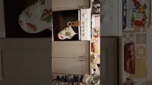 Готовим пельмени с Хренобусом