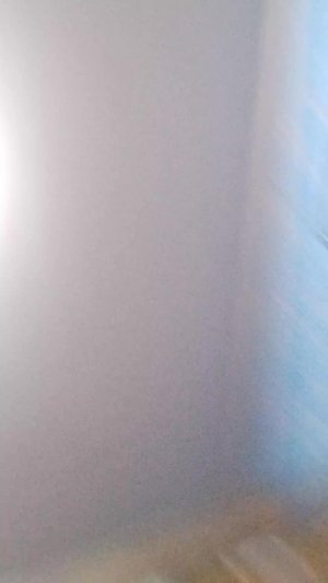 10 ноября2025г