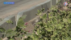 В Балаклаве на улице 40 лет Октября обустраивают пешеходные зоны