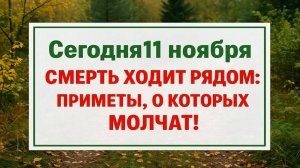 Сегодня 11 ноября - день судьбы и покоя мёртвых: народные запреты, что спасают от беды!