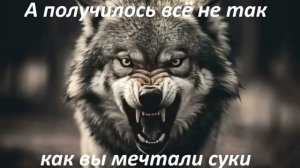 А получилось все не так, как вы  мечтали суки