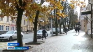 Начавшаяся неделя на Ставрополье еще порадует теплой погодой