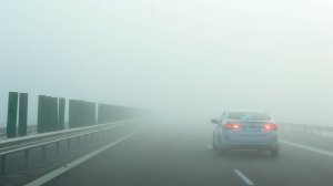 Штормовое предупреждение, снегопад и гололед в Казахстане. Опасный туман в Беларуси. Погода в СНГ