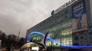 Москва Москвариум на ВДНХ Уникальные морские животные Центр океанографии и морской биологии