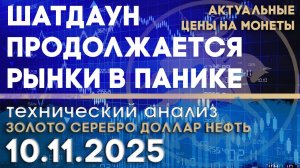 Рынки в панике из-за шатдауна в США. Анализ рынка золота, серебра, нефти, доллара 10.11.2025 г