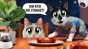 ЧТО ДЕЛАЮТ КОТЫ А ну-ка Давай-ка , КОГДА НИКОГО НЕТ ДОМА? СКРЫТАЯ КАМЕРА НОЧЬЮ в 3 ЧАСА