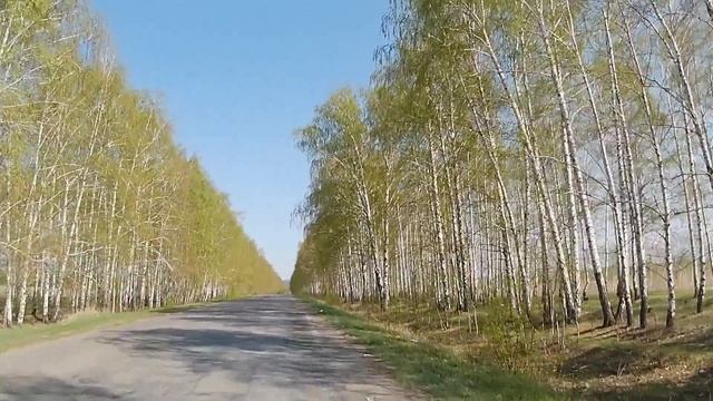 Весенняя велопоездка. АРХИВ, апрель 2025.