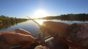 Мелиховская. Пробую двойной отводной поводок