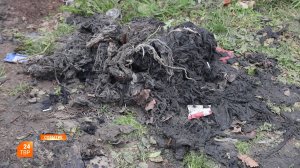 Кубатура проблем