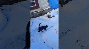 просто доброе ноябрькое утро