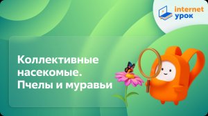 Окружающий мир 1 класс. Коллективные насекомые. Пчелы и муравьи